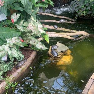 Meet your Posher, Kristal